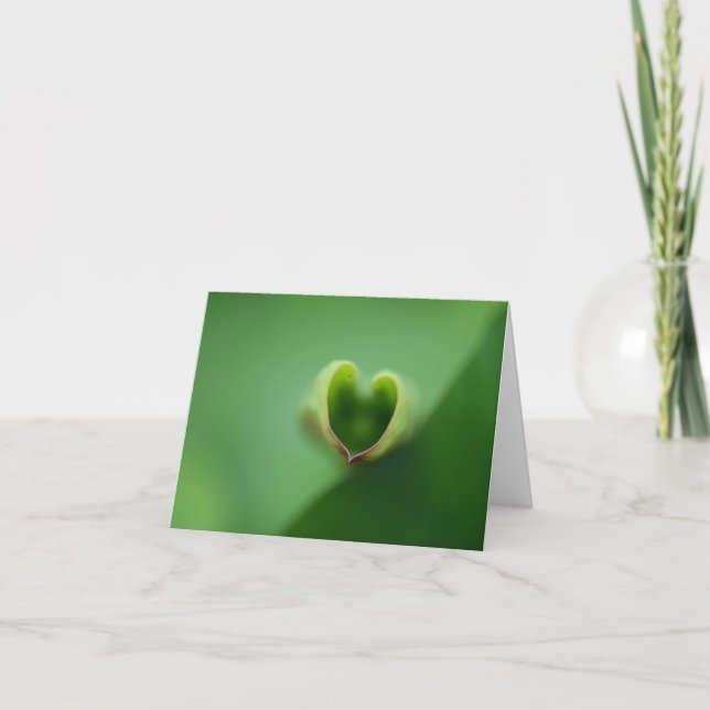 De Remerciements Lotus All Occasion Carte pour notes (Devant)