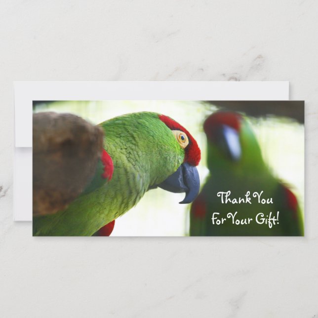 De Remerciements Merci, carte photo (Devant)