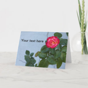 De Remerciements Photo d'un Rose contre un mur gris sur une carte p
