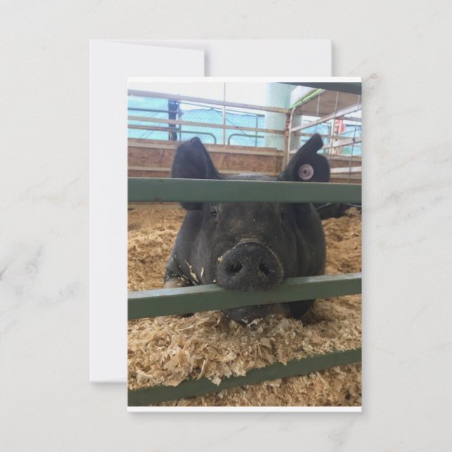 De Remerciements Pig vierge dans la carte (Devant)