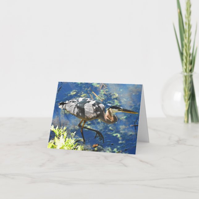 De Remerciements Prowl (Great Blue Heron #3) - carte blanche (Devant)