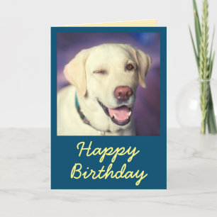 De Remerciements Retro Funny Chien et Bonne carte d'anniversaire