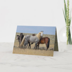 De Remerciements Stallion Gris Sauvage Protège Sa Carte Mares