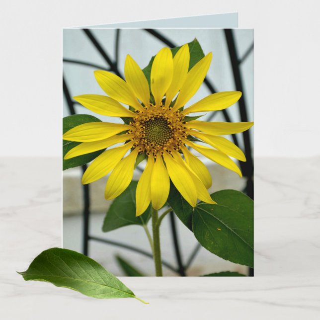 De Remerciements Tournesol jaune Botanique Floral blanc carte (Créateur téléchargé)