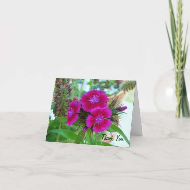 De Remerciements Violet Sweet Williams - Floral Carte pour notes (Devant)