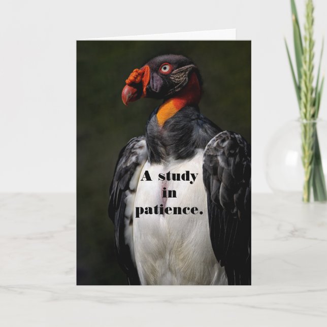 DE REMERCIEMENTS VULTURE PATIENCE CARTE D'ANNIVERSAIRE (Devant)