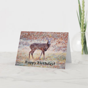 De Remerciements Wild Deer Buck Pretty Pun Carte Anniversaire