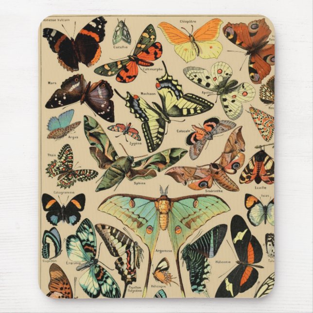 De Souris Tapis vintage papillon/papillons (Devant)