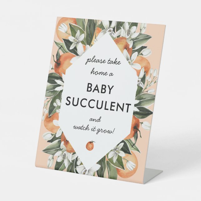 De Table Signe Little Cutie Baby shower Succulent Faveurs (Recto)