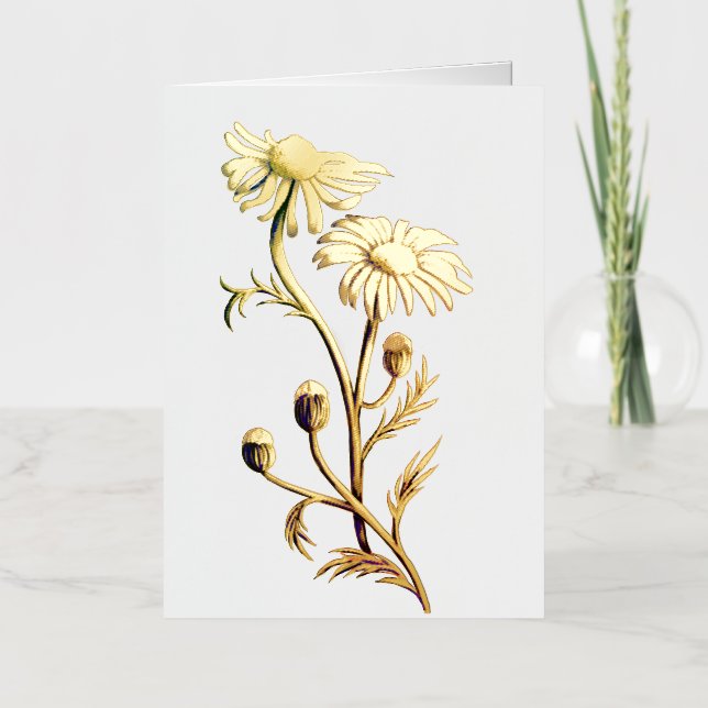 De Vacances En Aluminium Carte à thème à fleurs Chamomille (Recto)