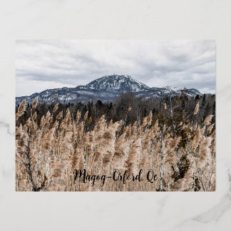 De Vacances En Aluminium Carte postale Magog-Orford, Qc