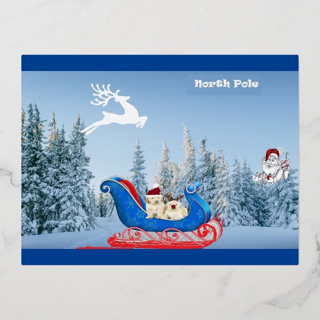 De Vacances En Aluminium Carte postale NorthPole Holiday (Recto)