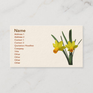 De Visite Bus. Carte - Daffodique