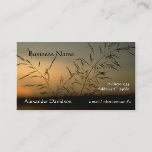 De Visite Bus. Carte - Silhouette Grass