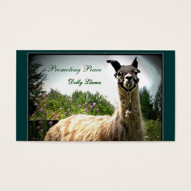 De Visite Cartes professionnelles Dolly Llama (Devant)