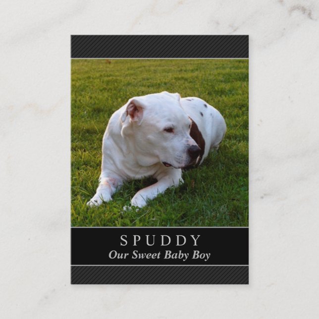 De Visite Dog Memorial Card - Carte photo noir moderne (Devant)