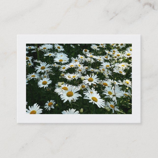 De Visite Marguerites, Mini Carte Photo (Devant)