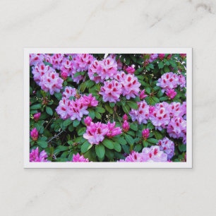 De Visite Rhododendrons, Mini Carte photo