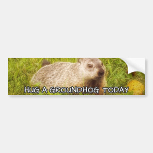 De Voiture Accrochez un marmotte aujourd'hui autocollant pare