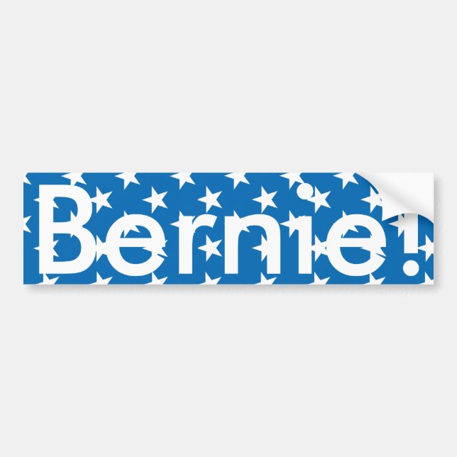 De Voiture Autocollant Bernie Bumper (Devant)