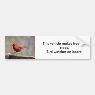 De Voiture Autocollant Cardinal Ornithologue
