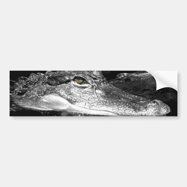 De Voiture Autocollant d'alligator (Devant)
