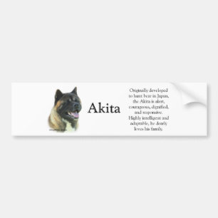 De Voiture Autocollant pare-chocs Akita Inu Trivia