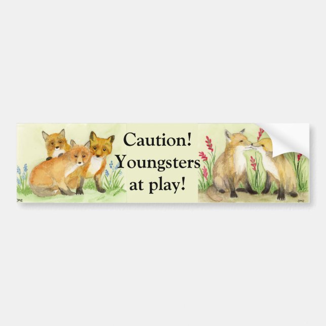 De Voiture Autocollant pare-chocs Fox Kits (Devant)