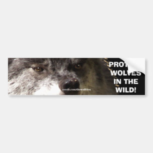 De Voiture WOLF FACE Wildlife Conservation Bumper autocollant