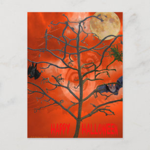 Dead Tree au milieu d'une carte postale Sky Orange