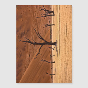 Dead Vlei, Namibie