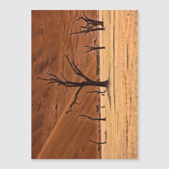 Dead Vlei, Namibie (Devant)