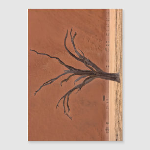 Dead Vlei, Namibie