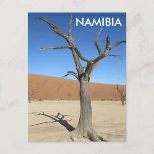 Dead Vlei, Namibie Carte postale