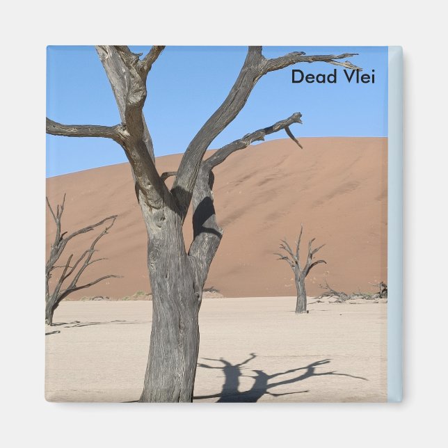 Dead Vlei, Namibie Magnet (Devant)