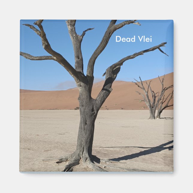 Dead Vlei, Namibie Magnet (Devant)