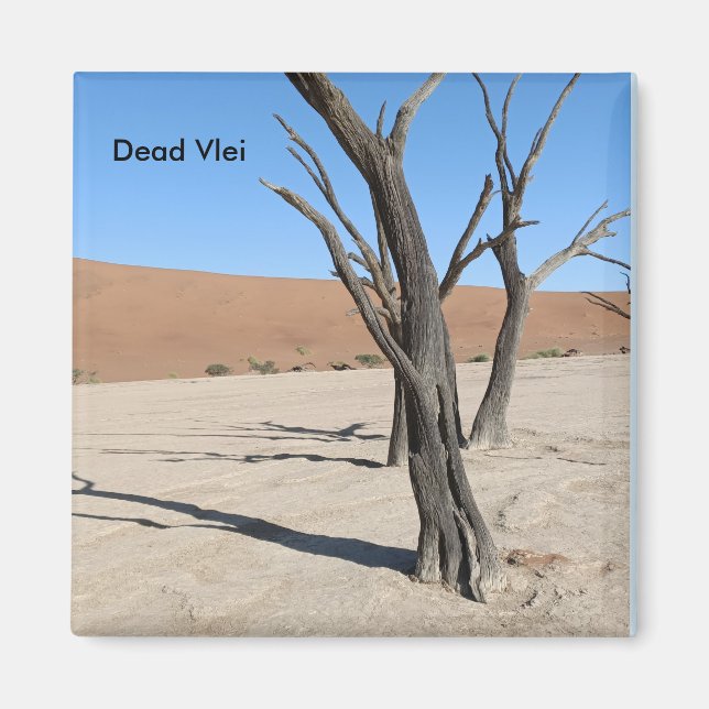 Dead Vlei, Namibie Magnet (Devant)