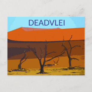 Deadvlei Carte Postale Ancienne de Voyage Namibie