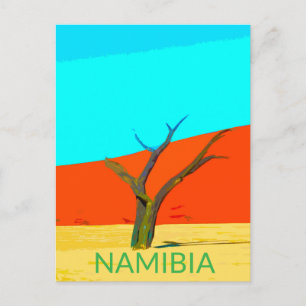 Deadvlei Carte Postale Ancienne Voyage Namibie