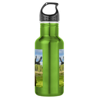D'eau Bouteille d'élan, bouteille de mousse