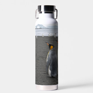 D'eau Créez Votre Propre Bouteille Isolée Faune Antarcti