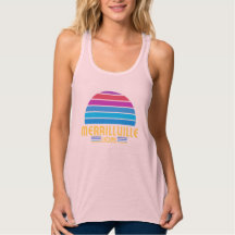 Lions de Merrillville