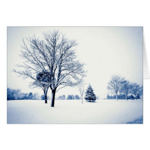 Debout Dans La Neige