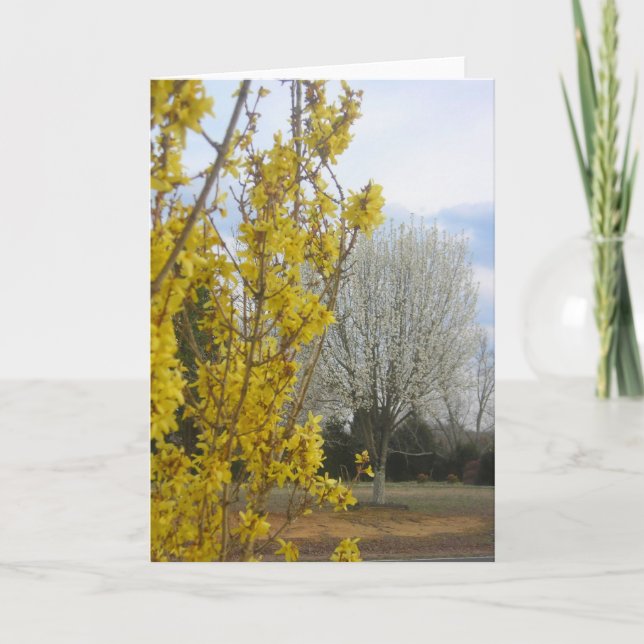 Début du printemps - Carte de voeux (Devant)