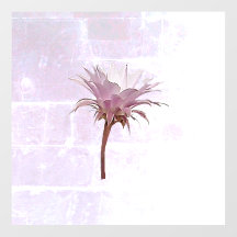 STYLE ET CONCEPTION DE DÉCALCOMANIE MURALE