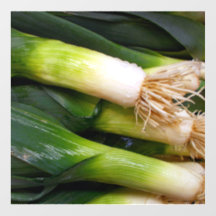 Décal de plancher d'oignons