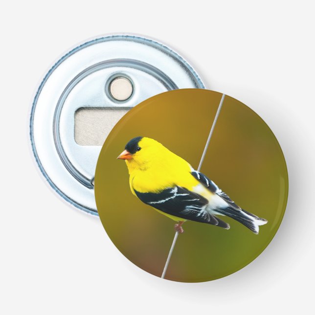 Décapsuleur American Goldfinch - Photo originale (Devant)