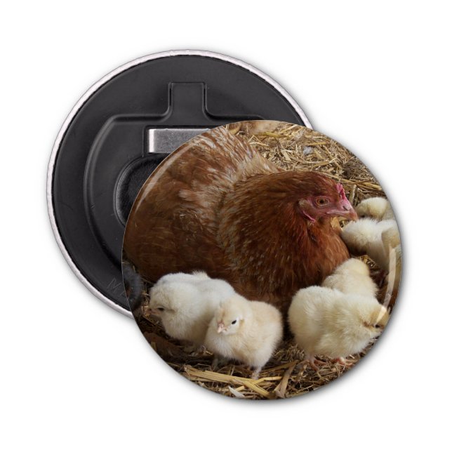 Décapsuleur animal, poulet, ferme, mignonette, oiseau, bébé, (Devant)