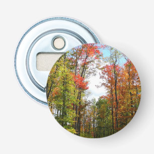 Décapsuleur Automnes Arbres et Ciel bleu Automne Photographie