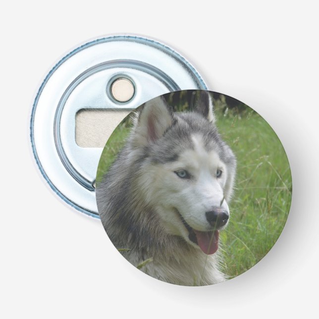 Décapsuleur Beau Chien à chiots Husky Sibérien (Devant)